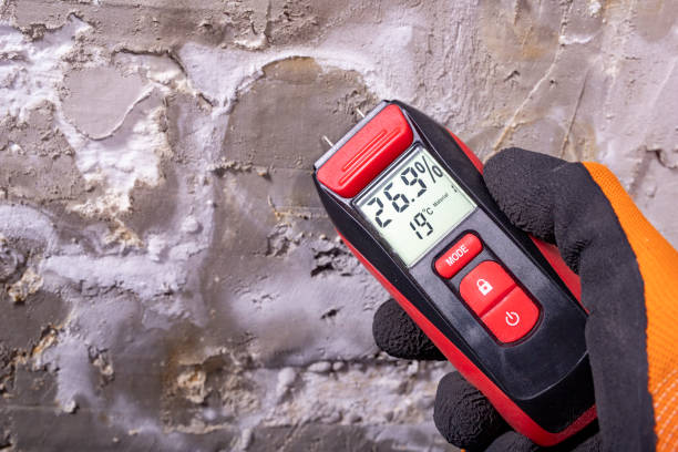 Best Home Mold Removal  in Napa, CA