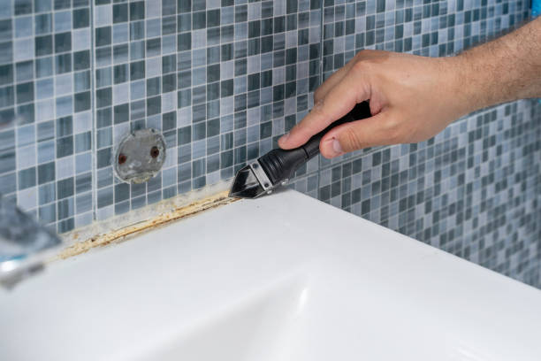Best Mold Testing  in Napa, CA