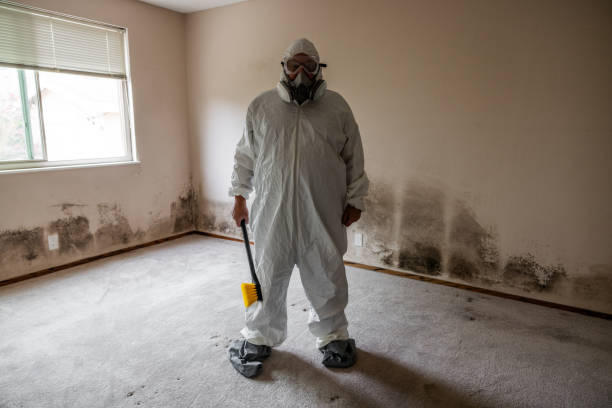 Best Best Mold Removal Companies  in Napa, CA
